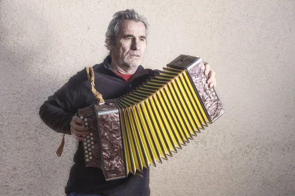 Muzikant die accordeon speelt — Stockfoto