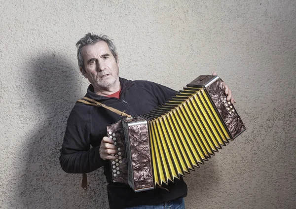 Musician playing accordion — Stock Photo, Image