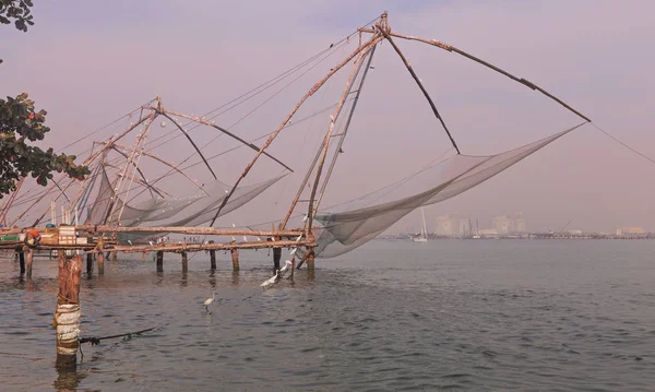nets and birds at cochin