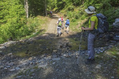 Ormanda yürüyen kadınlar