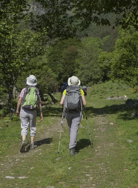 Vrouwen die in het bos wandelen — Stockfoto