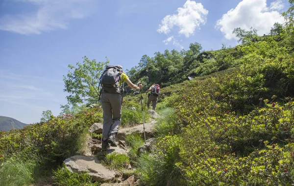 Trekkers on the path — Stock Photo, Image