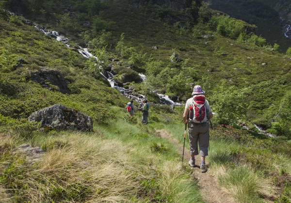 Women walking in the forest — Stock Photo, Image