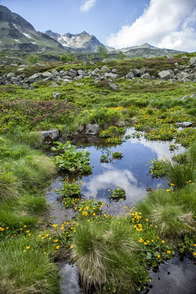 Charco y montañas — Foto de Stock