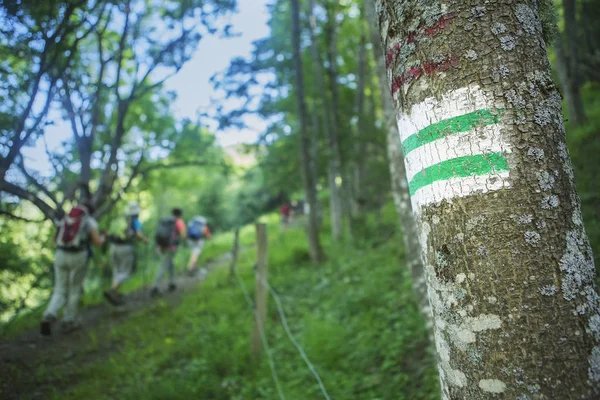 Segno sull'albero — Foto Stock