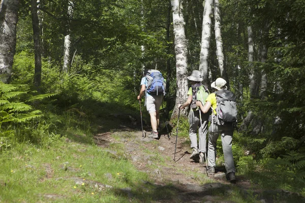 Vrouwen die in het bos wandelen Stockfoto