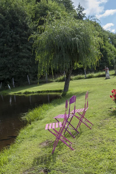 Růžové židle na trávníku — Stock fotografie