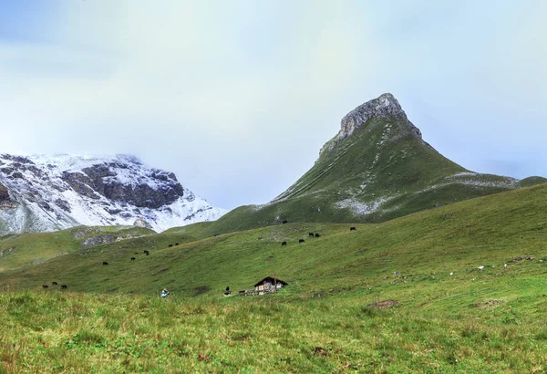 Paisaje alpino en Suiza — Foto de Stock