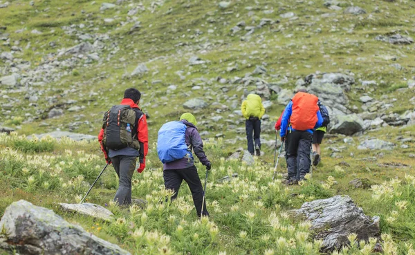 Grupo de excursionistas — Foto de Stock