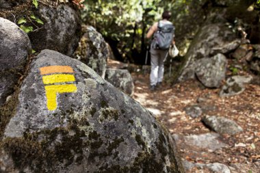 yürüyen yalnız kadın