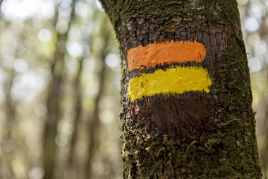 bir ağaç gövdesinde imzalamak