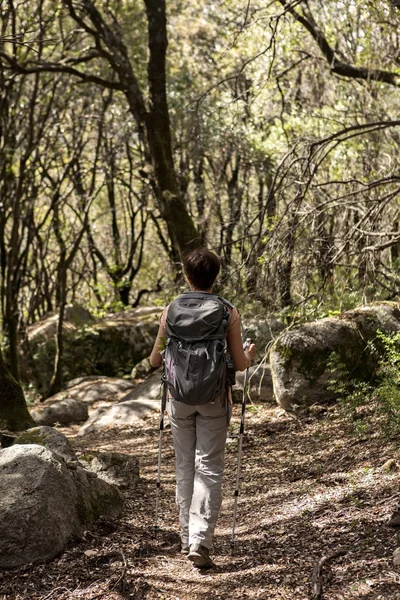 Mujer solitaria caminando — Foto de Stock