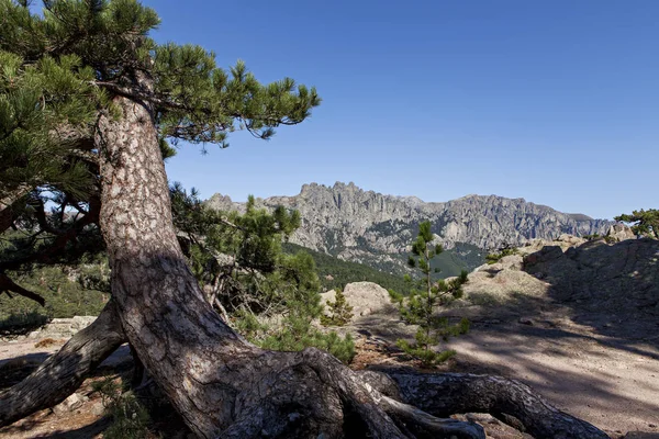 Vista sulla gamma di bavella — Foto Stock