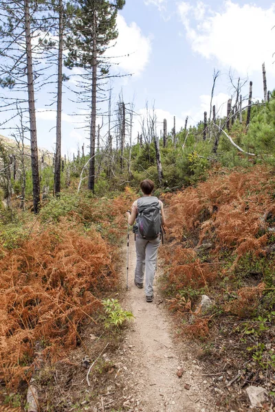 Mujer caminando en el bosque — Foto de Stock