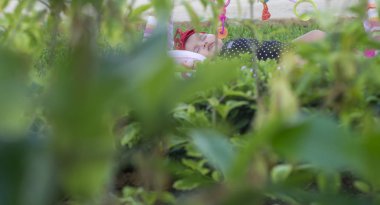 Küçük kız, çok güzel, uykuda çimlere siyah bir gömlek ve beyaz topları ile pembe bir halı üzerinde