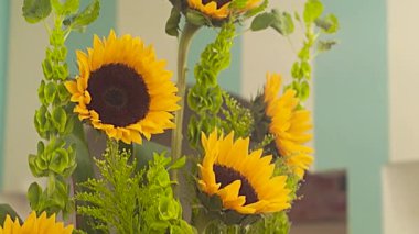 Buket arasında onun Yeşil Sarı ayçiçeği yaprakları, kaydırma, en yüksek çiçek, yukarıdan aşağıya doğru kamera