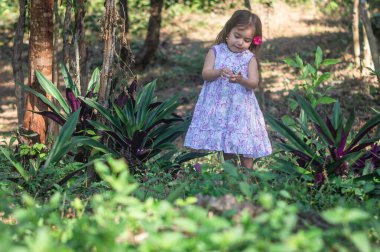 Üç yaşında güzel bir kız, beyaz menekşe bir elbise, saçında kırmızı bir çiçek, elinde tarlanın çiçeğini analiz ediyor.