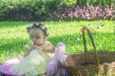 Bebek çelenk çiçekleri ve bahçe sepeti.