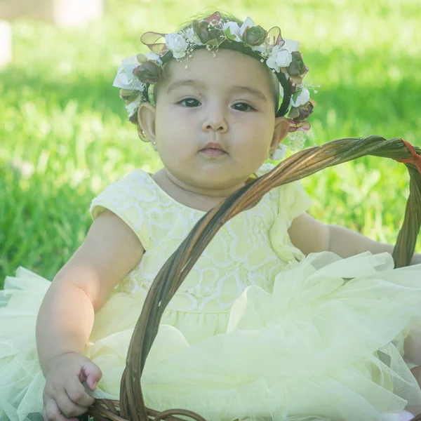 Bayi rangkaian bunga dan keranjang taman wicker — Stok Foto