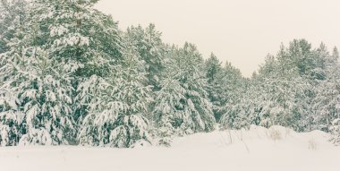 Kış tatil arka plan