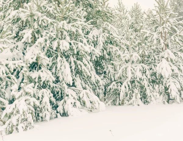 Fondo de vacaciones de invierno —  Fotos de Stock