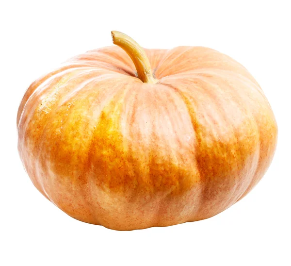 Halloween Pumpkin Isolated — Stock Photo, Image