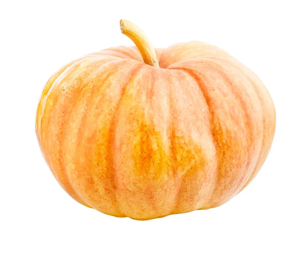 Halloween Pumpkin Isolated — Stock Photo, Image