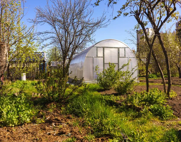 Modernes Polycarbonat-Gewächshaus — Stockfoto