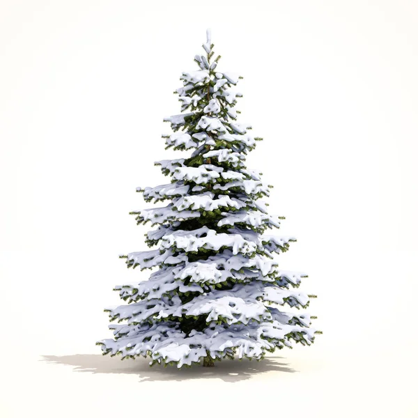 White Christmas Snow Tree — Stock Photo, Image