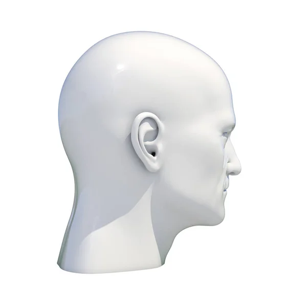 Figurína hlavy figuríny, samostatný — Stock fotografie