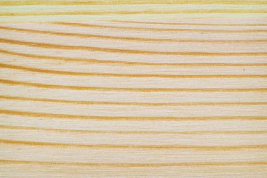 Beyaz çam doku deseninin