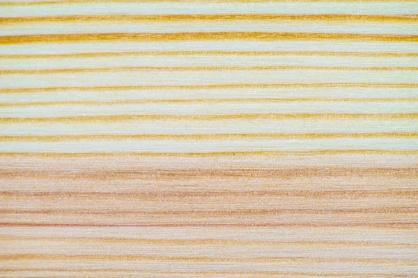 Beyaz çam doku deseninin