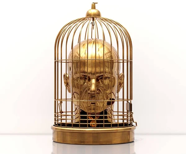 Head in Cage — Stock Photo, Image