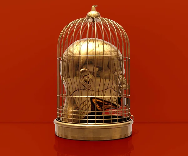 Head in Cage — Stock Photo, Image