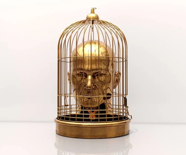 Head in Cage — Stock Photo, Image