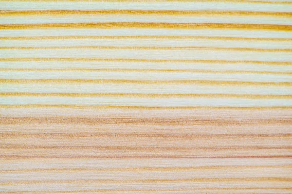 Patrón de textura de pino blanco —  Fotos de Stock