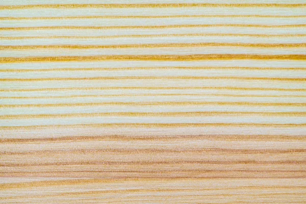 Beyaz çam doku deseninin