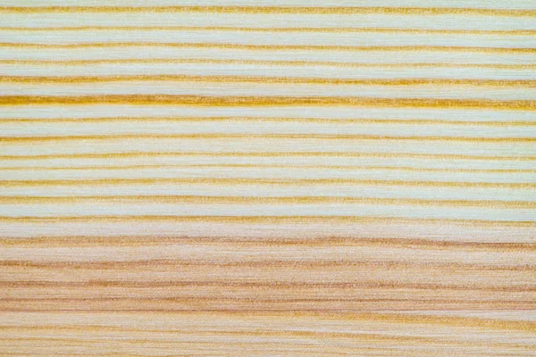 Beyaz çam doku deseninin