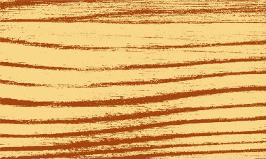 Doğa sıradışı afiş tasarımı