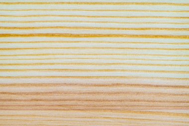 Beyaz çam doku deseninin