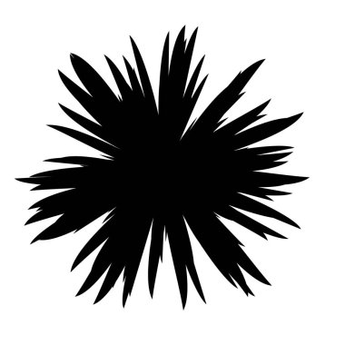 Siyah ve beyaz çiçekler siluet