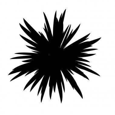 Siyah ve beyaz çiçekler siluet