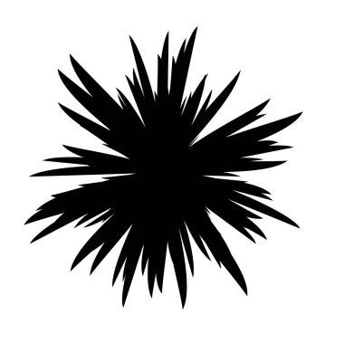 Siyah ve beyaz çiçekler siluet