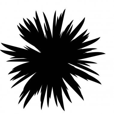 Siyah ve beyaz çiçekler siluet