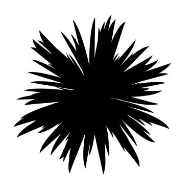 Siyah ve beyaz çiçekler siluet