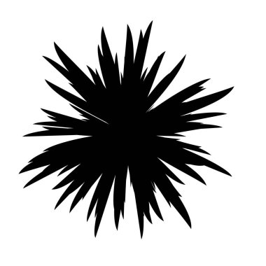 Siyah ve beyaz çiçekler siluet