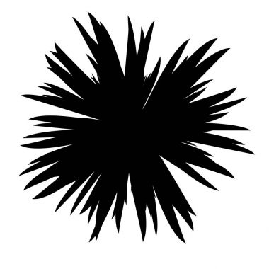 Siyah ve beyaz çiçekler siluet