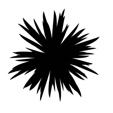 Siyah ve beyaz çiçekler siluet