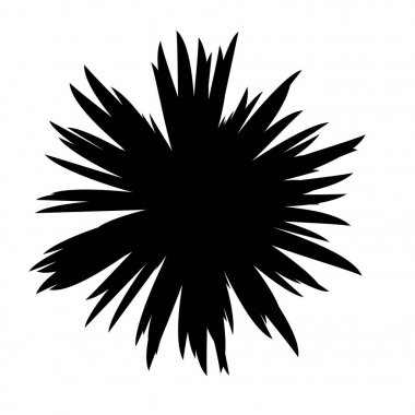 Siyah ve beyaz çiçekler siluet