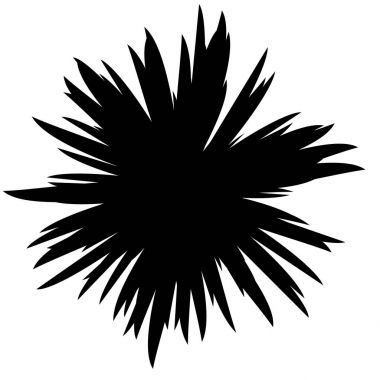 Siyah ve beyaz çiçekler siluet